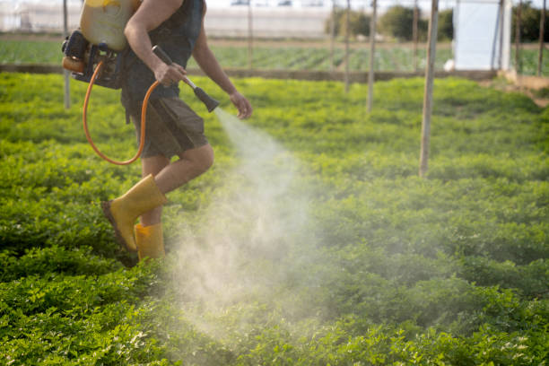 Best Pest Prevention Services  in Union Mill, VA