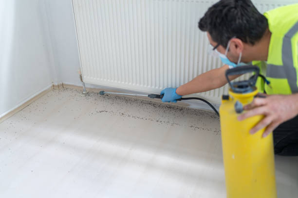 Best Pest Control for Restaurants  in Union Mill, VA
